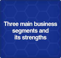 Three main business segments and its strengths